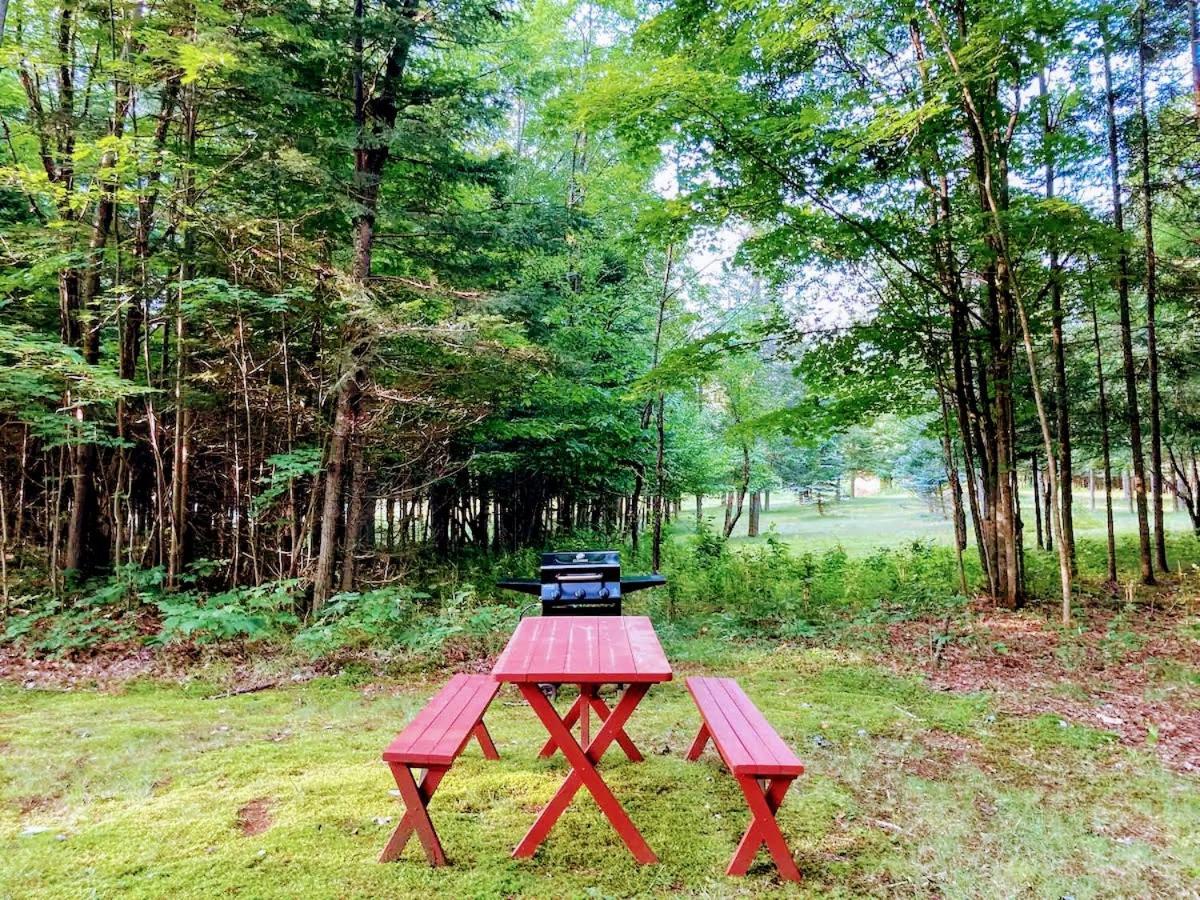 The Lorca Adirondacks Motel Indian Lake Eksteriør billede